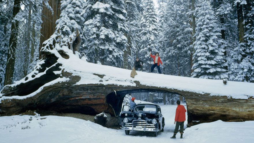 Genialne zdjęcia, które zostały zakopane w archiwum National Geographic 1