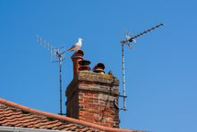 Anteny do naziemnej telewizji cyfrowej
