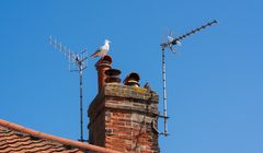 Co z MUX-5 i multipleksami eksperymentalnymi? UKE odpowiada