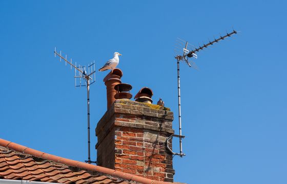 Co z MUX-5 i multipleksami eksperymentalnymi? UKE odpowiada