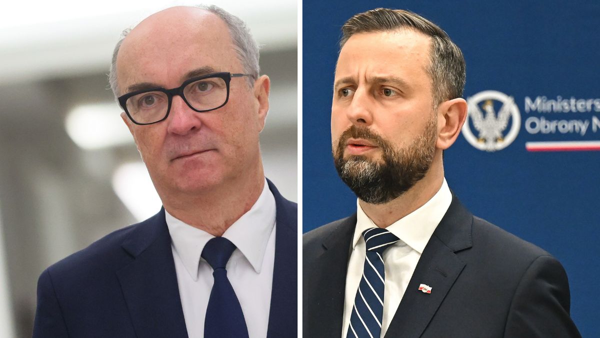 Włodzimierz Czarzasty / Władysław Kosiniak-Kamysz