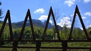 Zakopane: Śmiertelne pułapki na płotach. Zwierzęta giną w męczarniach