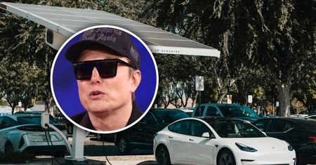 Tesla się osuwa. 795 miliardów dolarów wartości rynkowej w trzy miesiące