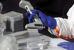 Koronawirus. Postępy w pracach nad szczepionką na Covid-19