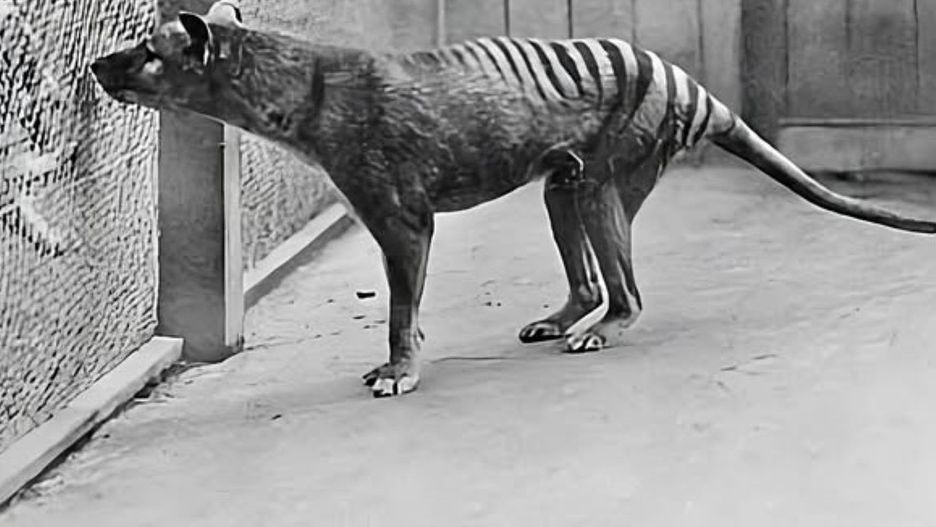 Ilustracja poglądowa