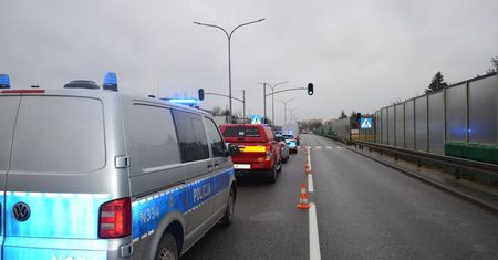 Śmierć dziewczynki na drodze. Jest wniosek o areszt dla sprawcy