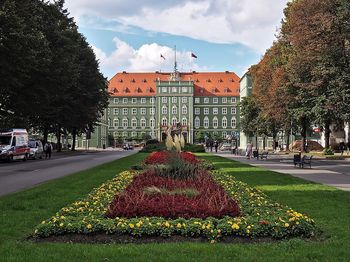 Pogoda w Szczecinie. Prognoza na środę 12 listopada. Mgły nad ranem, potem przejaśnienia