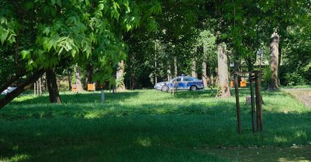 Park Ludowy i szkoła na Berylowej pod lupą NIK. Brak kar umownych i aneksy kosztowało miasto 12,3 mln zł