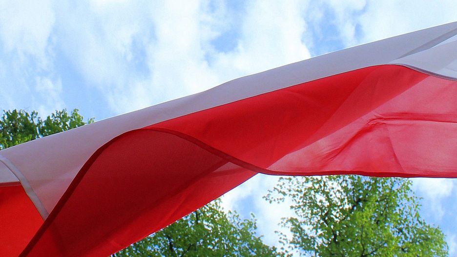 Jak głosować?