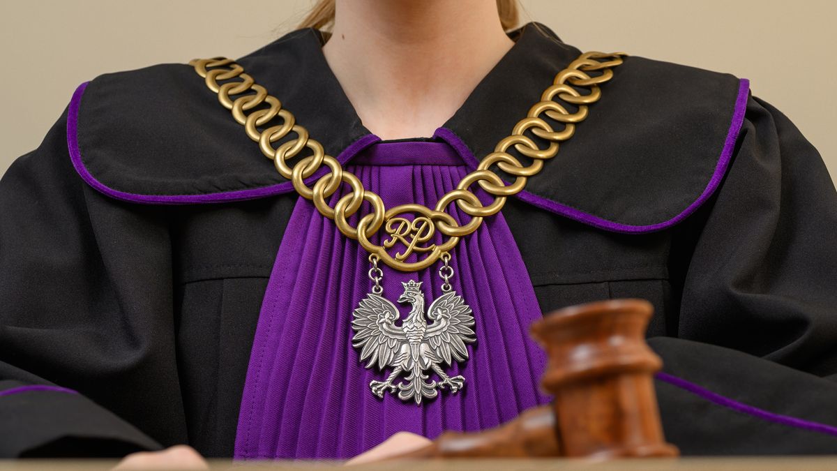 Pawel Kacperek
wyrok, prawo, toga, szata, polska, rzeczpospolita, polski, skazanie, apelacja, kodeks, sala rozpraw, prawo i administracja, polski sad, kobieta, rp, pl, powaga, fioletowa toga, żabot, konstytucja, krs, prawomocny, kara, uniewinnienie, ulaskawienie