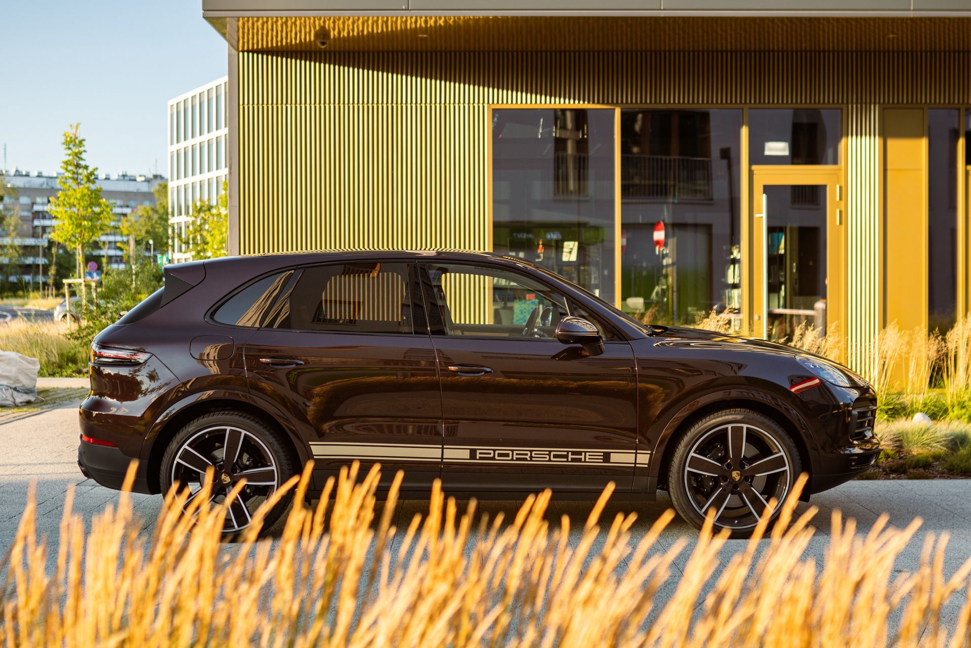 Porsche Cayenne S Platinum Edition (2022)