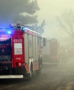 Pożar hali poprodukcyjnej w Pełkiniach. Strażacy walczą z żywiołem