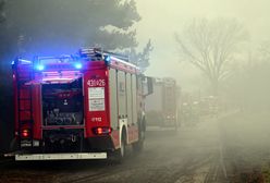 Pożar hali poprodukcyjnej w Pełkiniach. Strażacy walczą z żywiołem