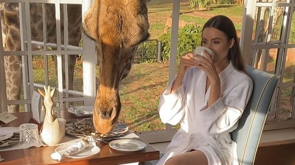 Celia Krychowiak z żyrafą