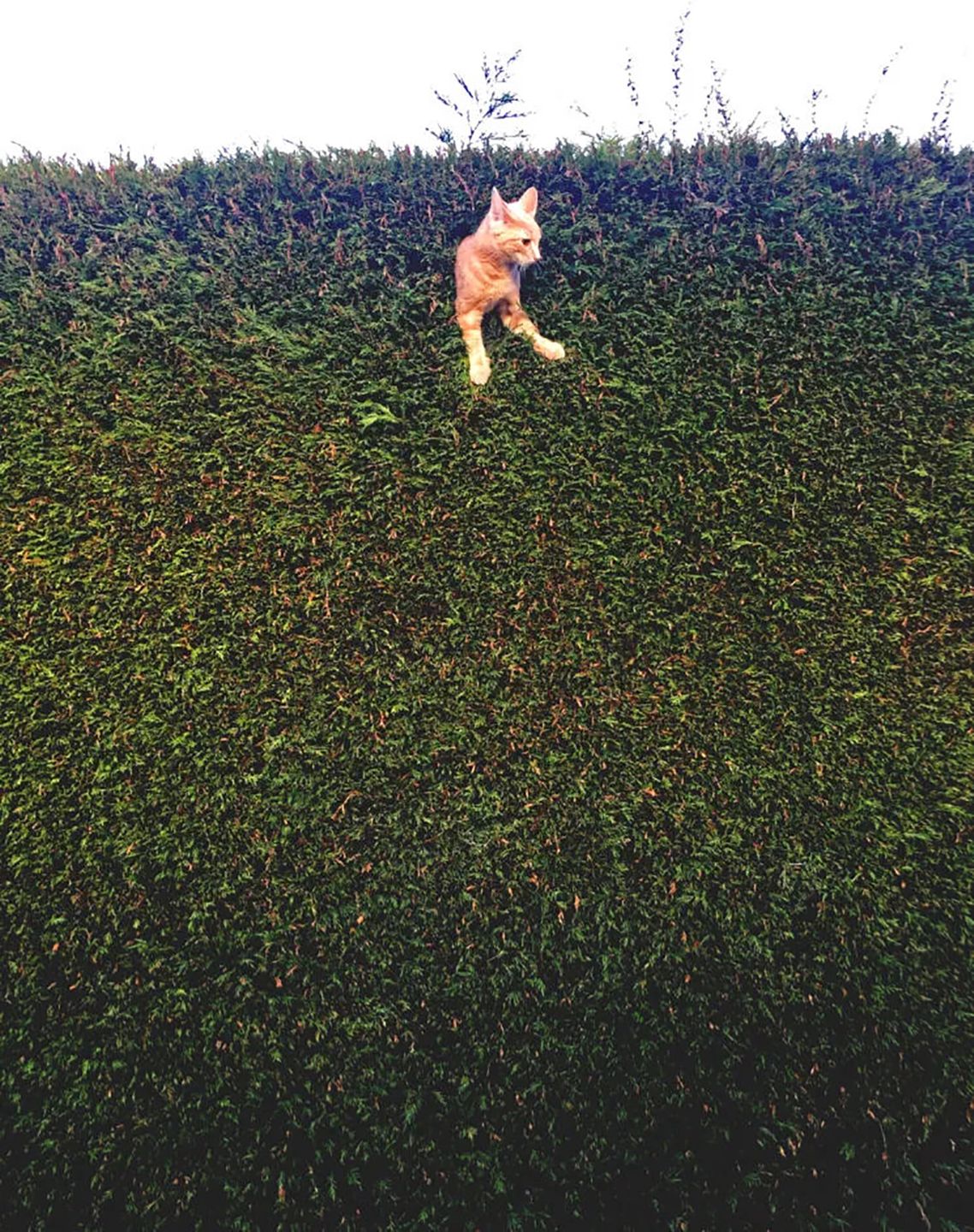 I miejsce w kat. młodzieżowej