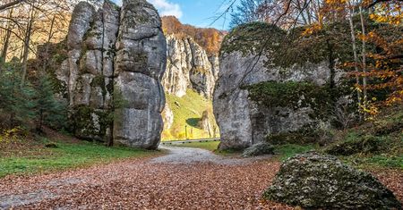 Ojcowski Park Narodowy - dlaczego warto go odwiedzić?