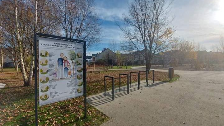 park zieleń drzewa drzewo pogoda