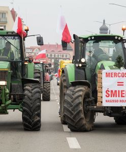 Umowa UE-Mercosur przyjęta. Rolnicy: to jakieś nieporozumienie