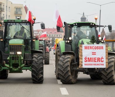 Umowa UE-Mercosur przyjęta. Rolnicy: to jakieś nieporozumienie