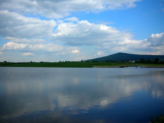 Obraz