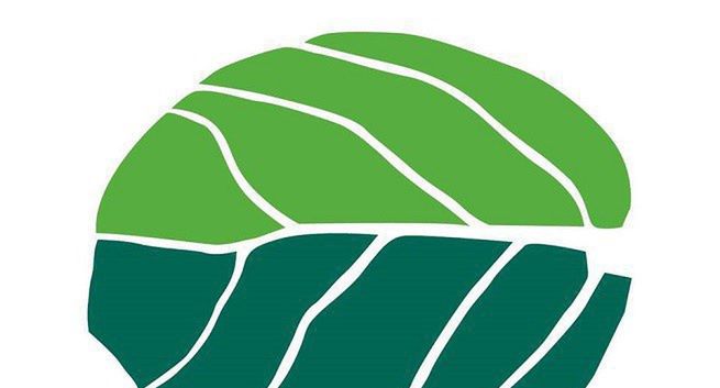 Świeża Bazylia dba o komunikację właściciela uzdrowisk i hoteli ze Szczawnicy