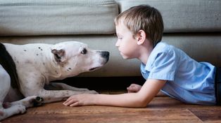 Dlaczego psy atakują dzieci? Najczęściej problem zaczyna się dużo wcześniej
