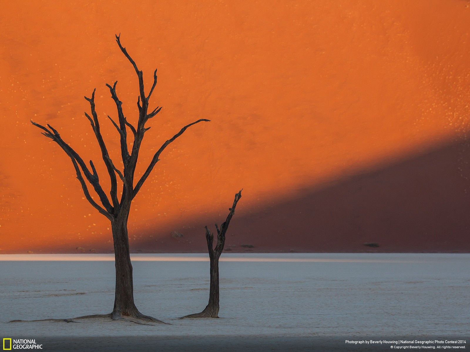 Najlepsze zgłoszenia z National Geographic Photo Contest 2014 14