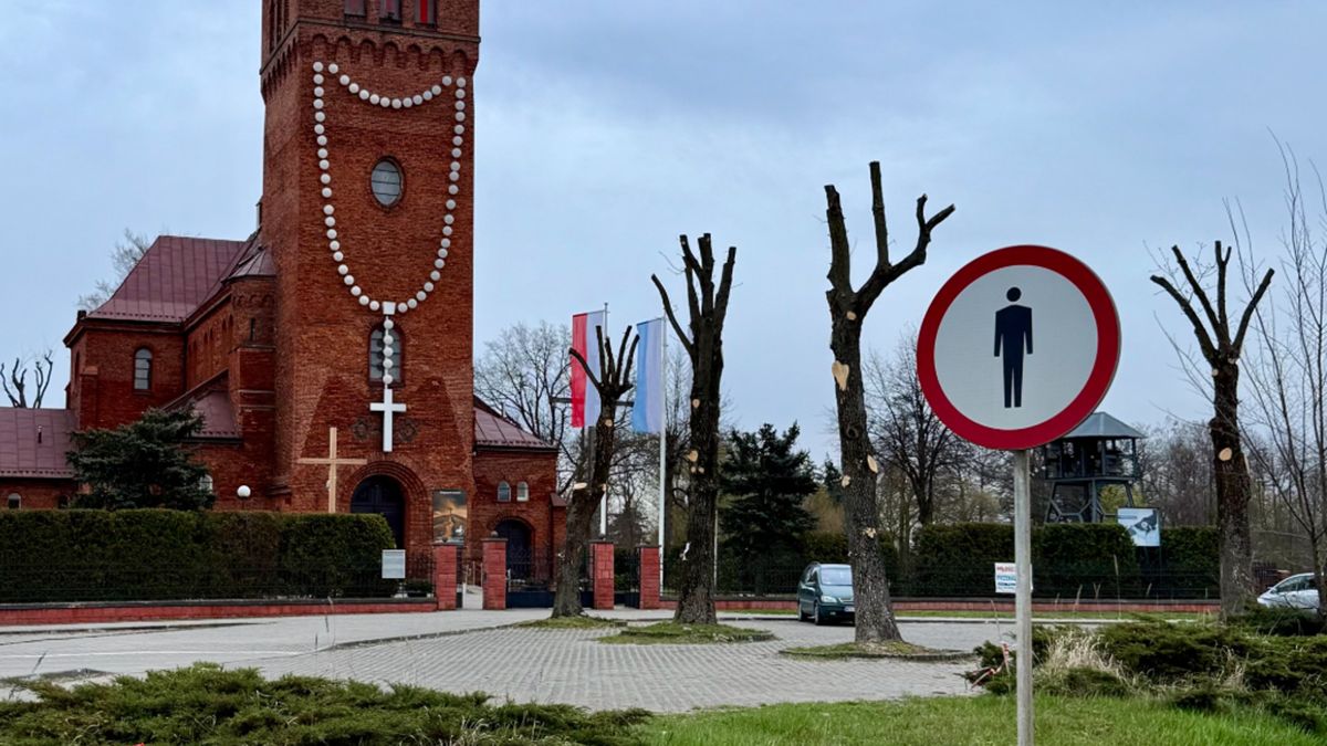 Drzewa pod kościołem zostały ogołowione.
