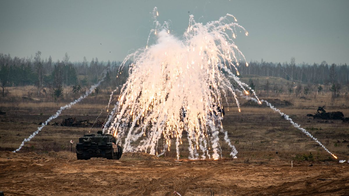 Manewry NATO na Łotwie. Listopad 2024