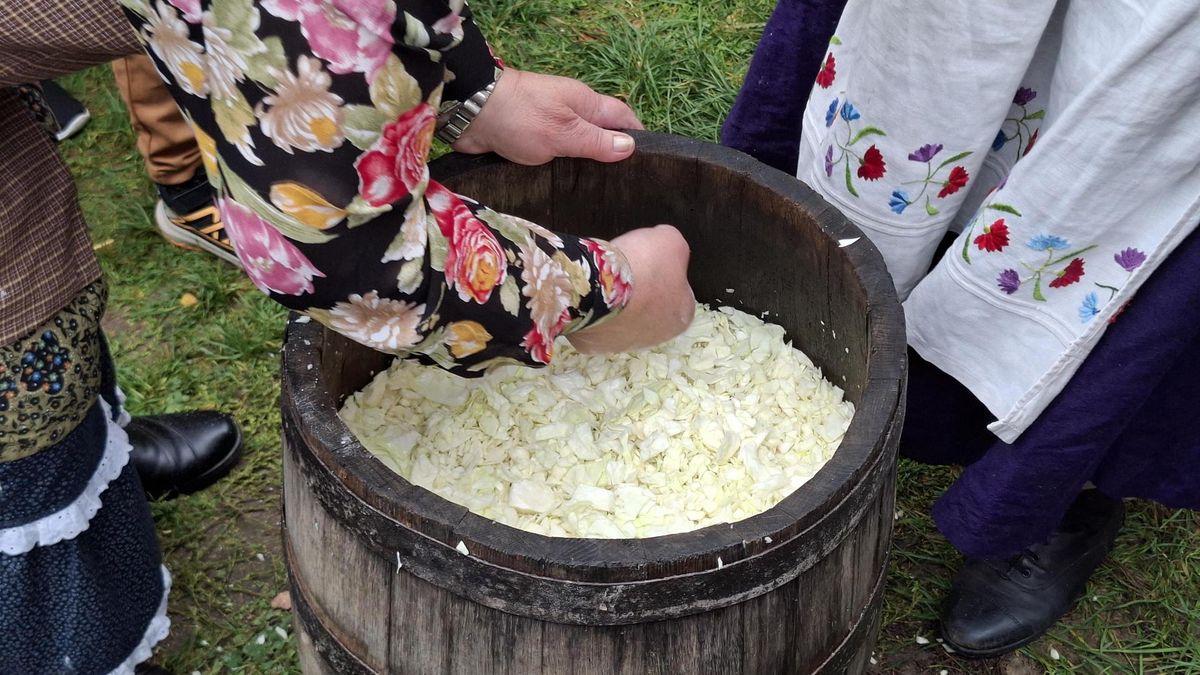 Jak wyglądało dawniej kiszenie kapusty?