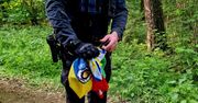 Kaliscy policjanci udaremnili „ustawkę” pseudokibiców – zatrzymano 23 osoby