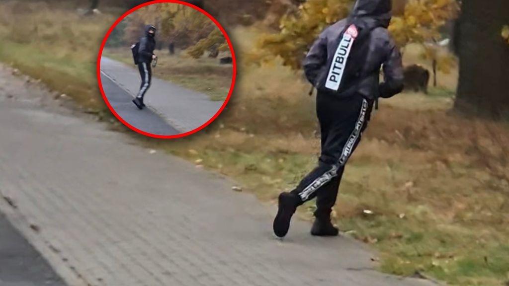 Napaść w Toruniu. Policja potwierdza. To domniemany sprawca