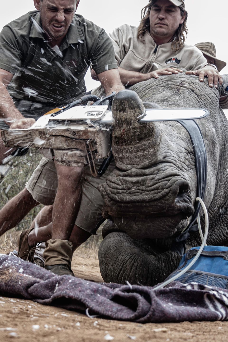 Enviromental Photography Of The Year 2019. Tak wygląda nasza planeta 6