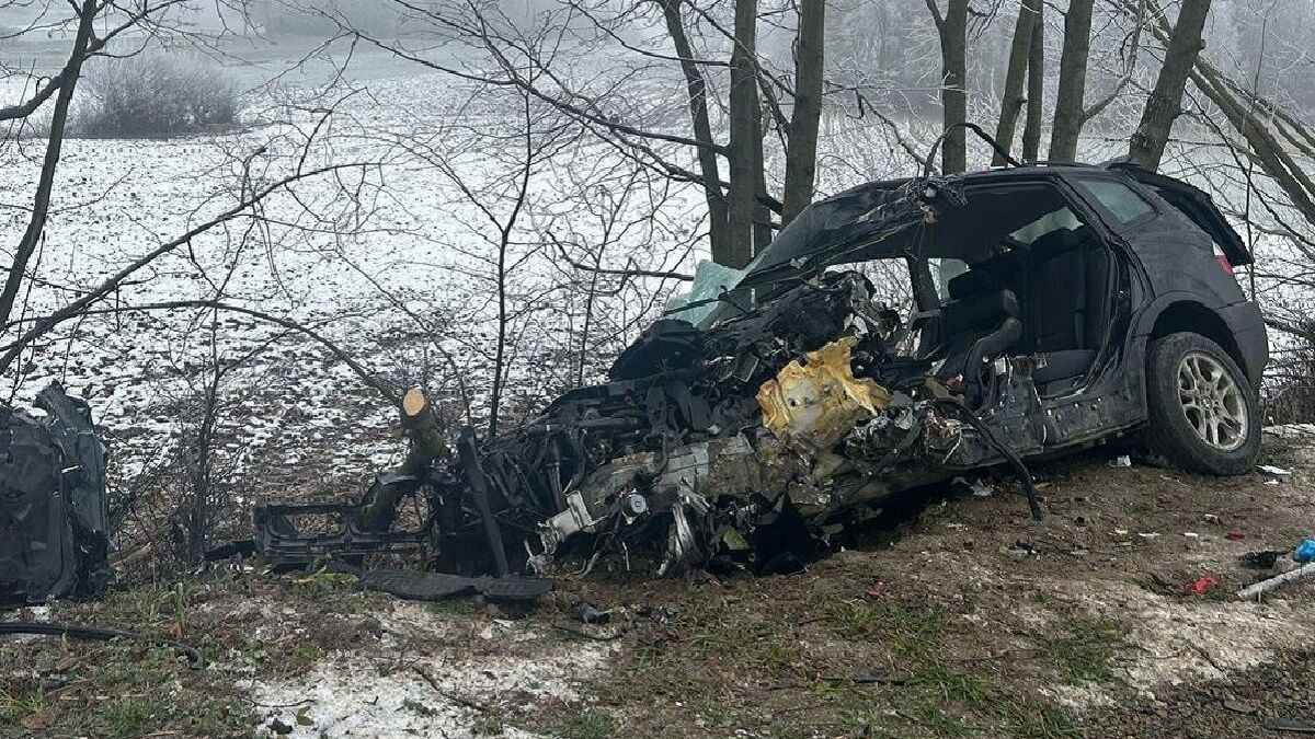 Kierujący BMW rozbił się o drzewo