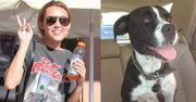 Miley adoptowała kolejnego psa (FOTO)