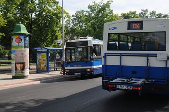 W niedzielę do krakowskiego zoo i Ojcowa powiozą was autobusy linii rekreacyjnych. Jest też ważna informacja dla rowerzystów!