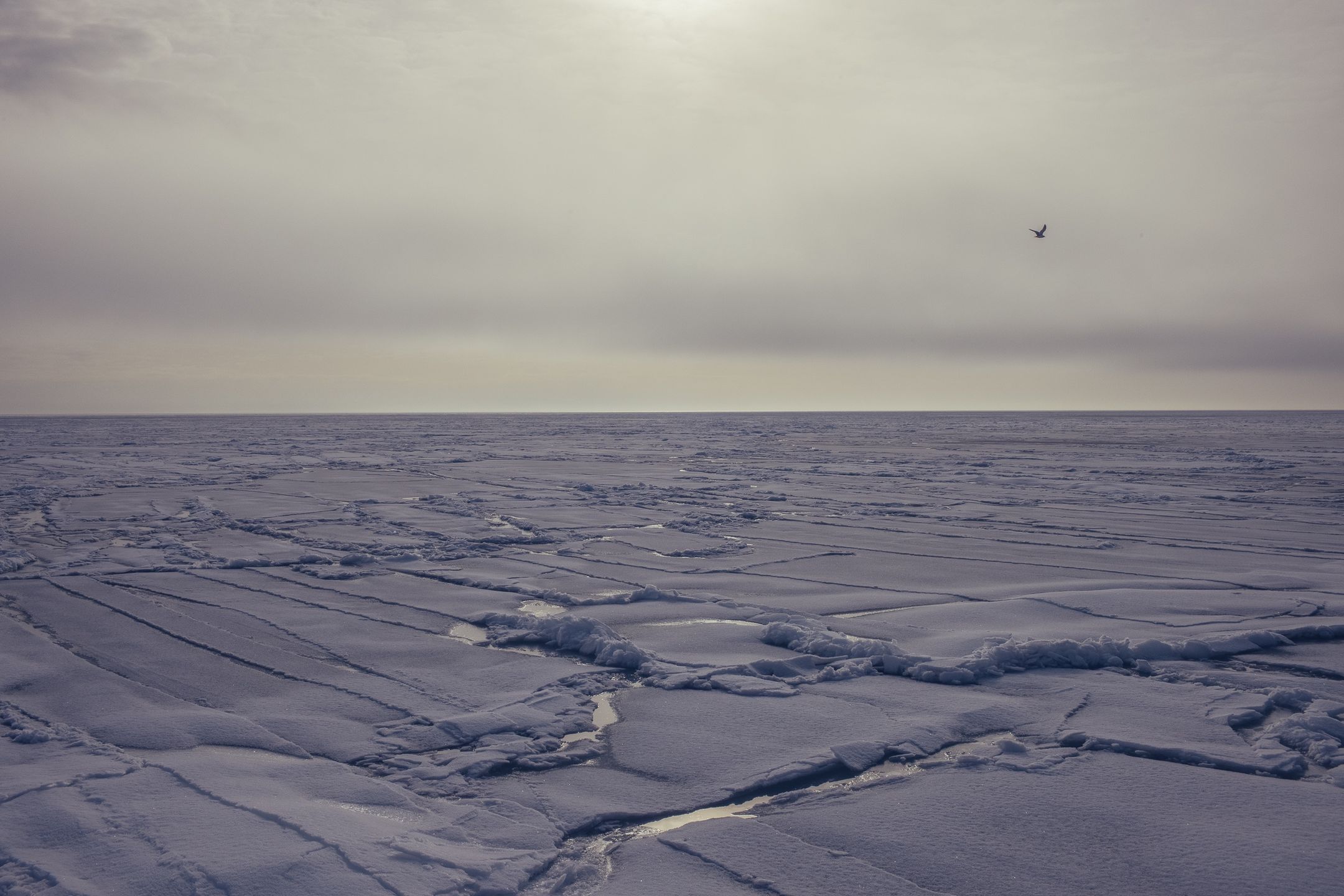Wybrzeże Morza Azowskiego w okolicach Mariupola