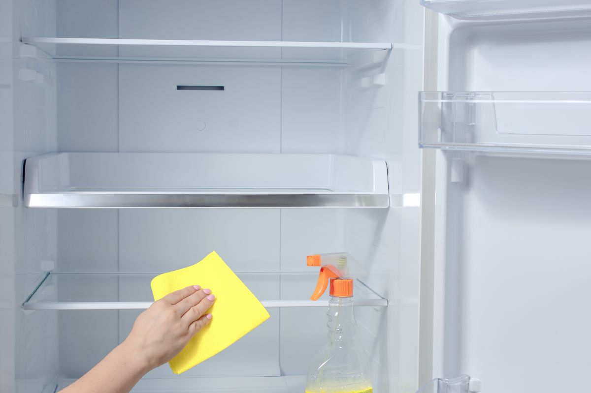 What to remember when cleaning the fridge?