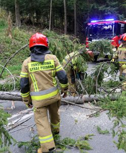 Wichura w Tatrach. Zmarło dziecko przygniecione przez drzewo