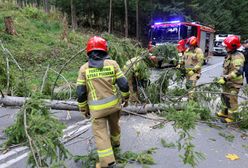 Wichura w Tatrach. Zmarło dziecko przygniecione przez drzewo