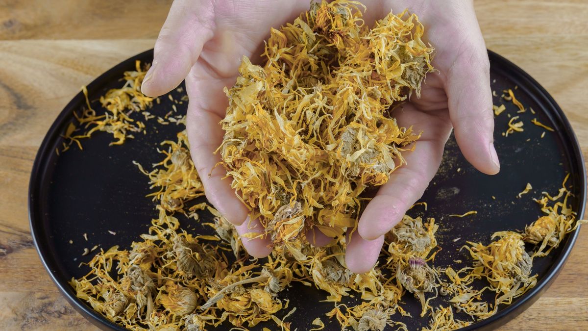 Nagietek lekarski ma wiele właściwości odżywczych