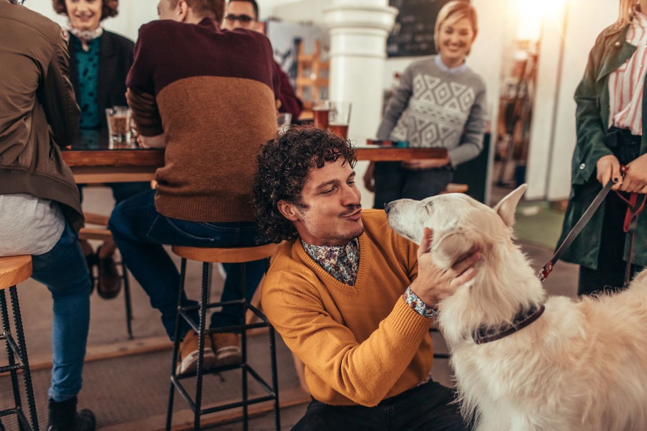 Dogs earn treats and tourists' hearts in Asia's pet cafes