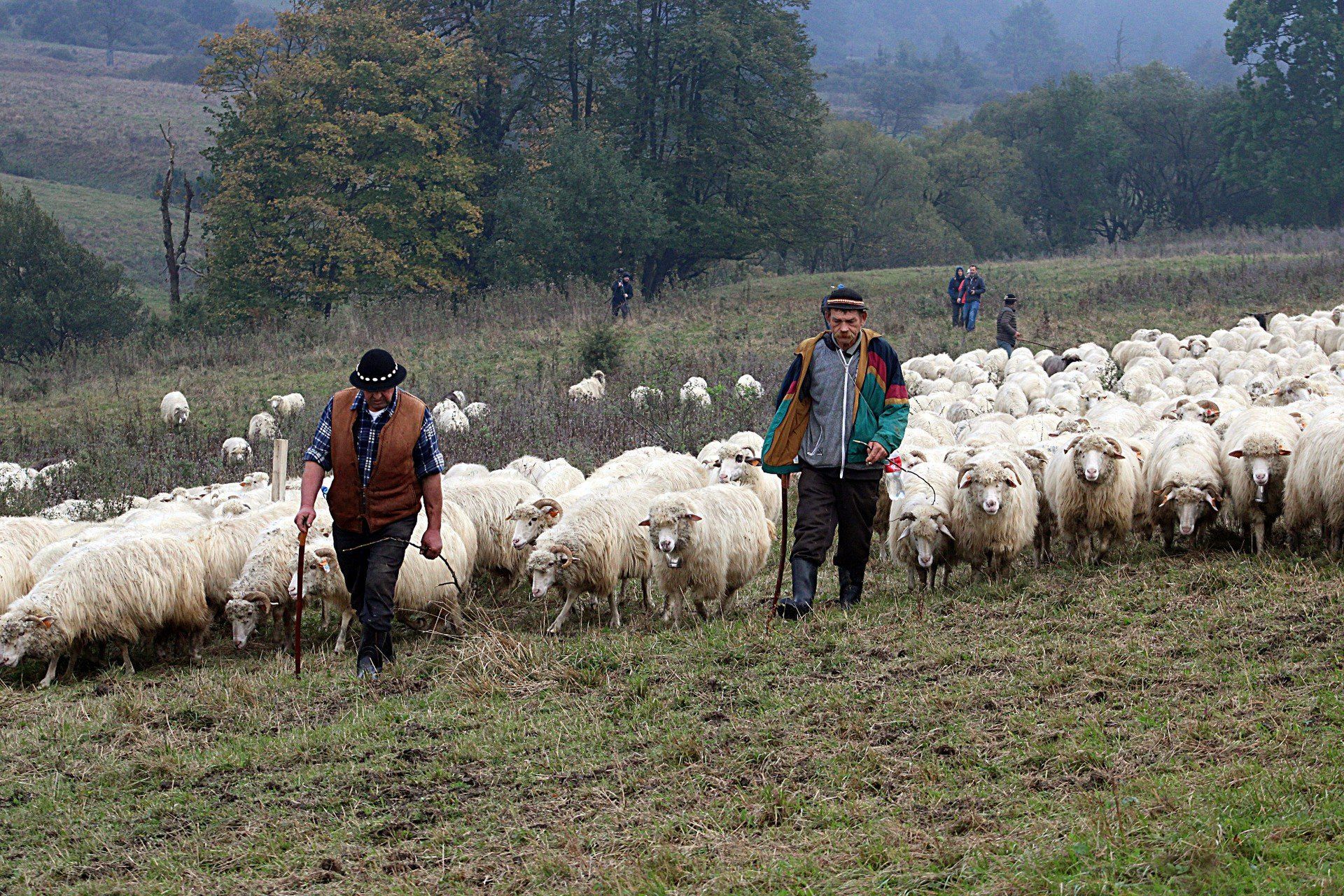 Beskid Niski ma wiele walorów