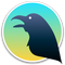 Raven icon