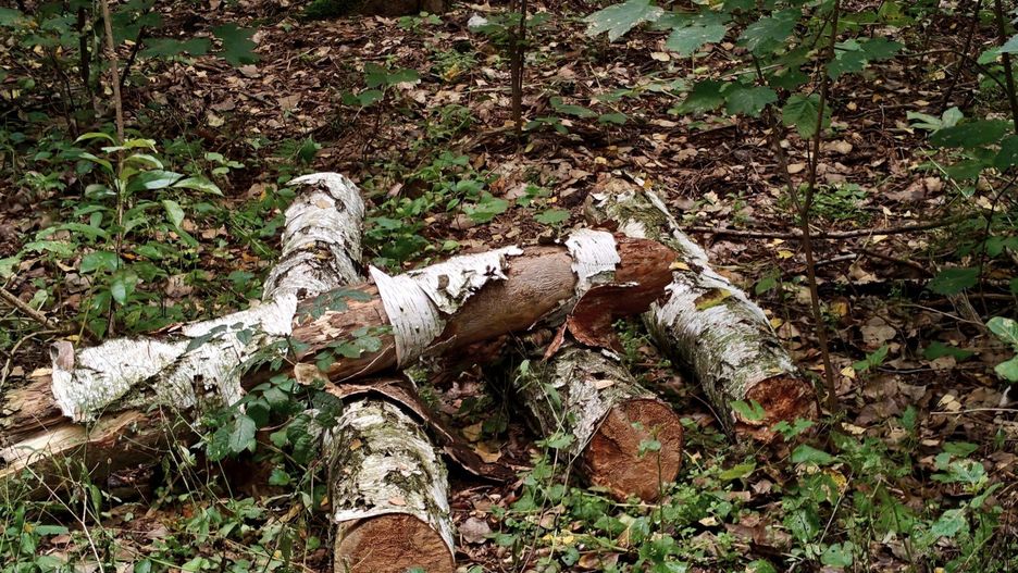 Kliknij strzałkę, aby przejść do następnych zdjęć!