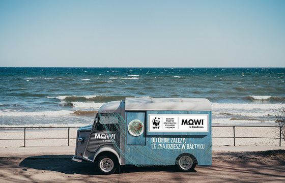 Jeżeli nie zaczniemy działać, za 40 lat może zabraknąć ryb - akcja WWF i producenta ryb Mowi