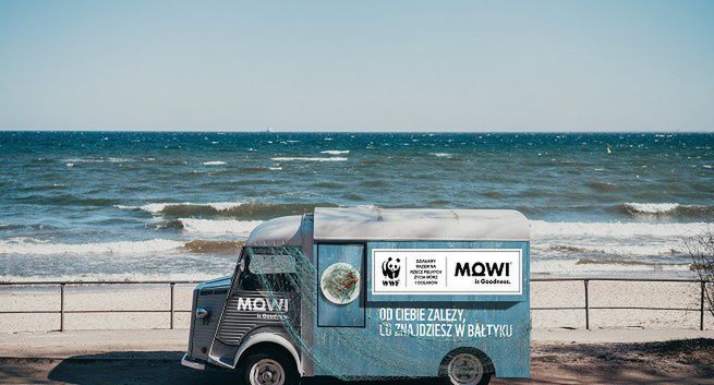 Jeżeli nie zaczniemy działać, za 40 lat może zabraknąć ryb - akcja WWF i producenta ryb Mowi