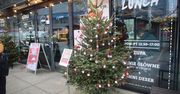 Katowice: Choinka życzeń na rynku. Każdy może spełnić marzenia