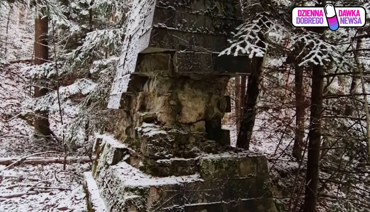 Jedyny w Polsce. Leśnicy ujawniają. Już wiadomo, co to jest