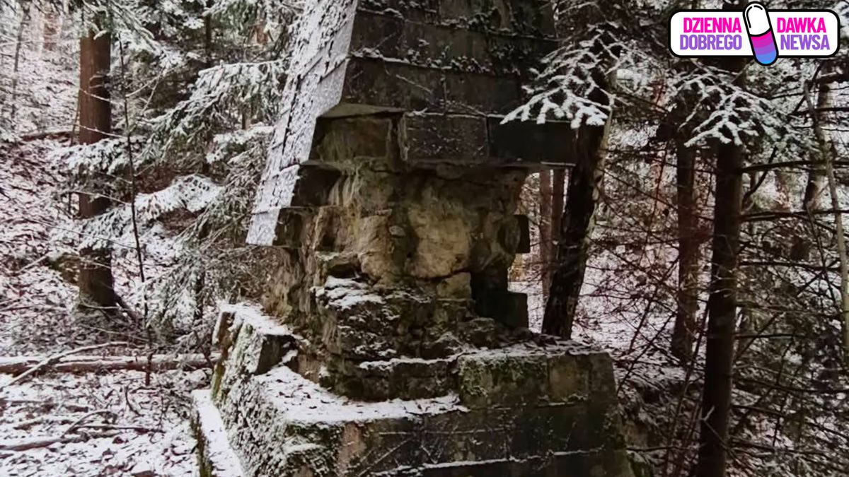 Tajemniczy obiekt w lesie.